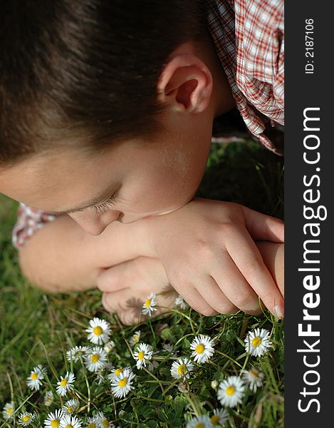 Young kid in a daisy meadow. Young kid in a daisy meadow