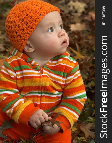 Picture of cute baby sitting in a pile of fallen leaves. Picture of cute baby sitting in a pile of fallen leaves