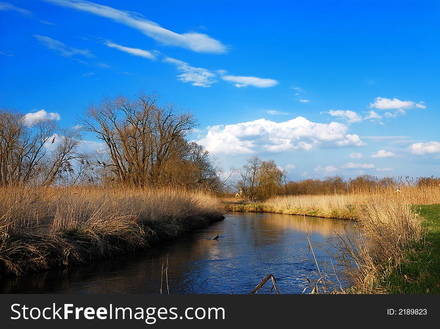 Lonely river landscape with a tree and reed and a deep blue sky
