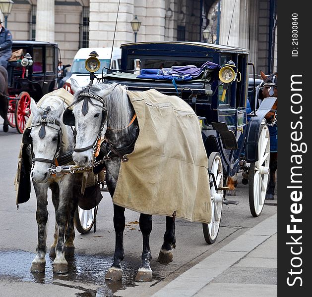 Horse-driven carriage outside Hofburg palace, Vienna, Austria