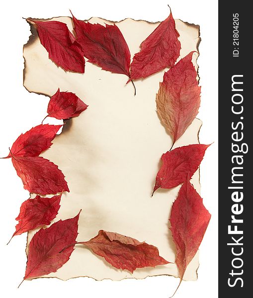 Autumn Leaves on Old Paper