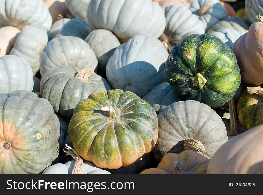 A pile of mini green pumpkins