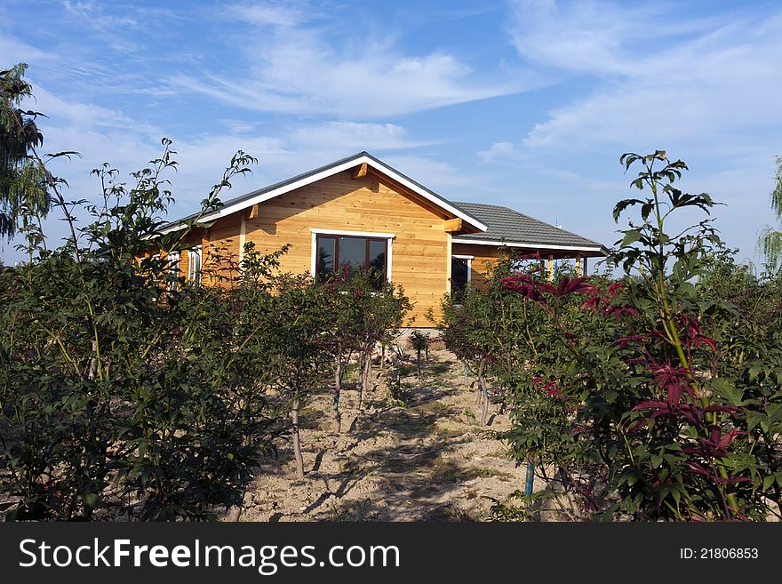 Wooden house in the woods