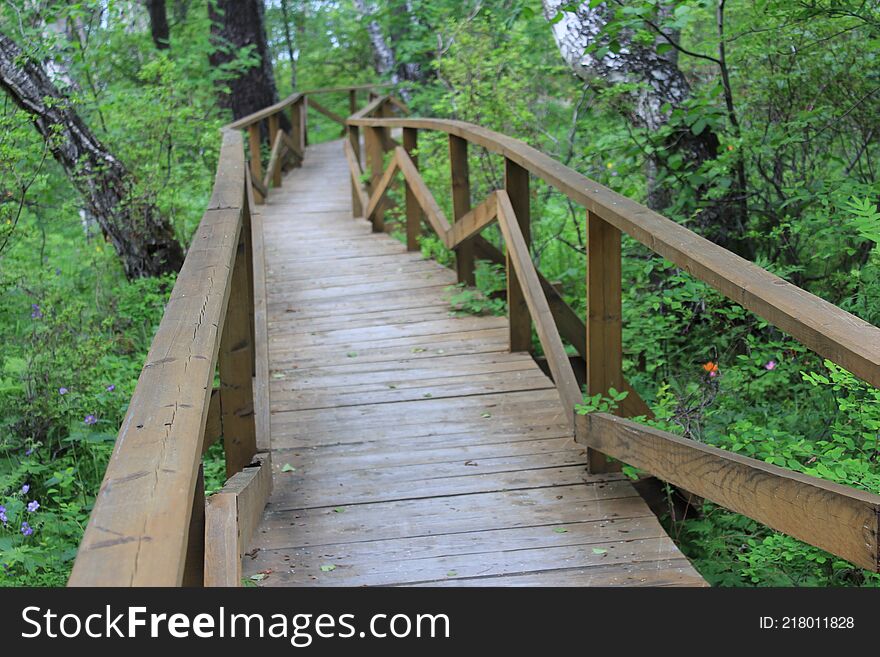 Walking along the wooden bridges, enjoy the freshness of the greenery. Walking along the wooden bridges, enjoy the freshness of the greenery.