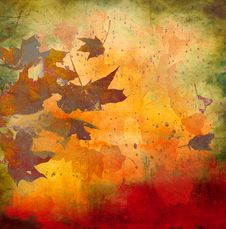 Autumn Background Royalty Free Stock Photography Autumn Background Royalty Free Stock Photography