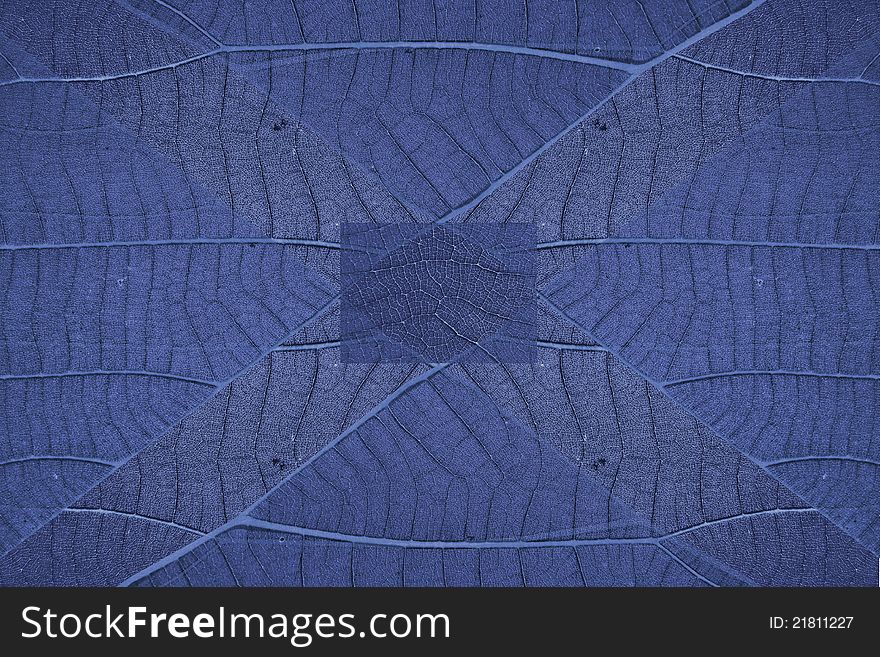 The texture background made from multi-part of leaf. The texture background made from multi-part of leaf.