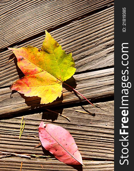 Dry colorful autumn leaves on a wooden floor. Dry colorful autumn leaves on a wooden floor