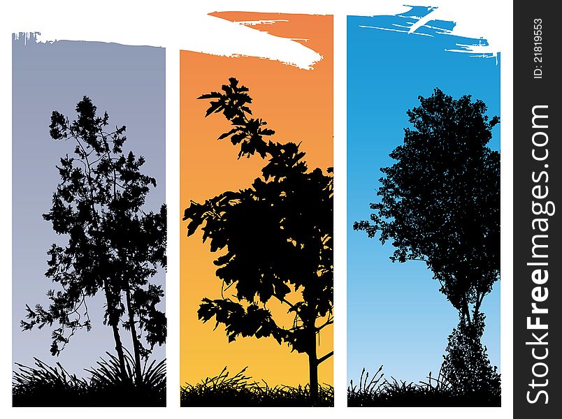 Set of three tree illustrations. Set of three tree illustrations