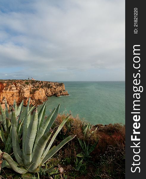 Green coastline in Southern Portugal