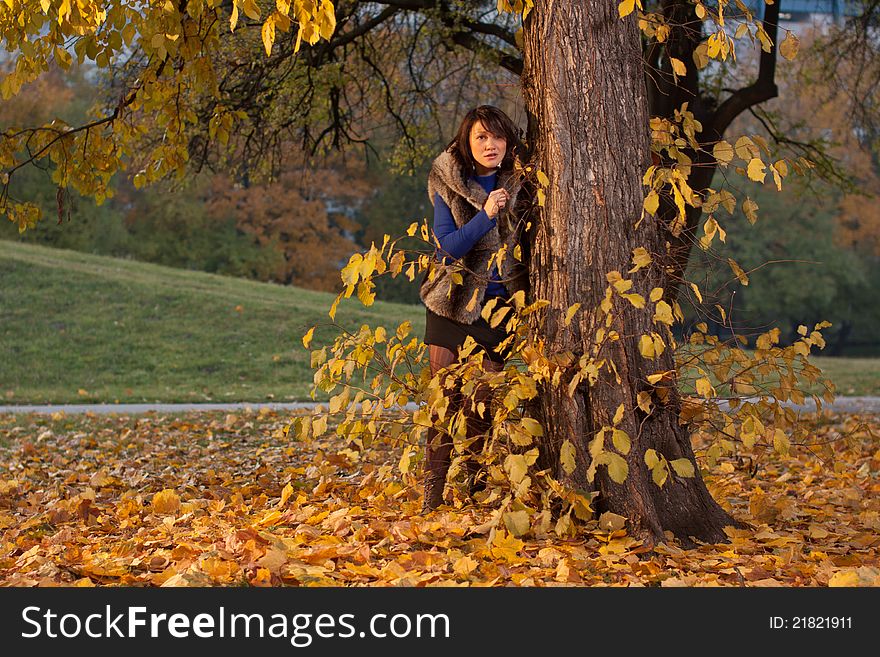 Young attractive woman looking form behind the tree during autumn golden sunset. Young attractive woman looking form behind the tree during autumn golden sunset