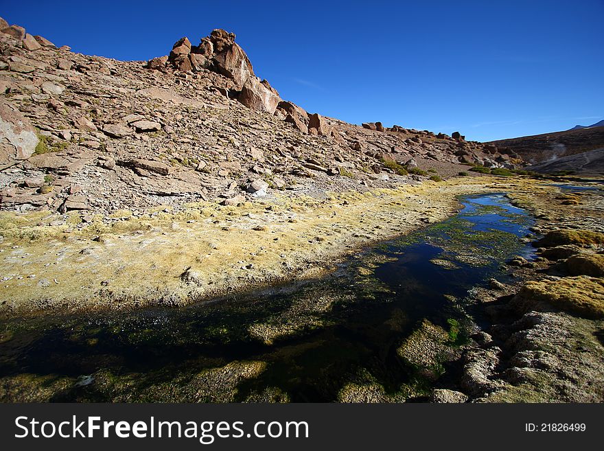 Oasis in the Atacama desert