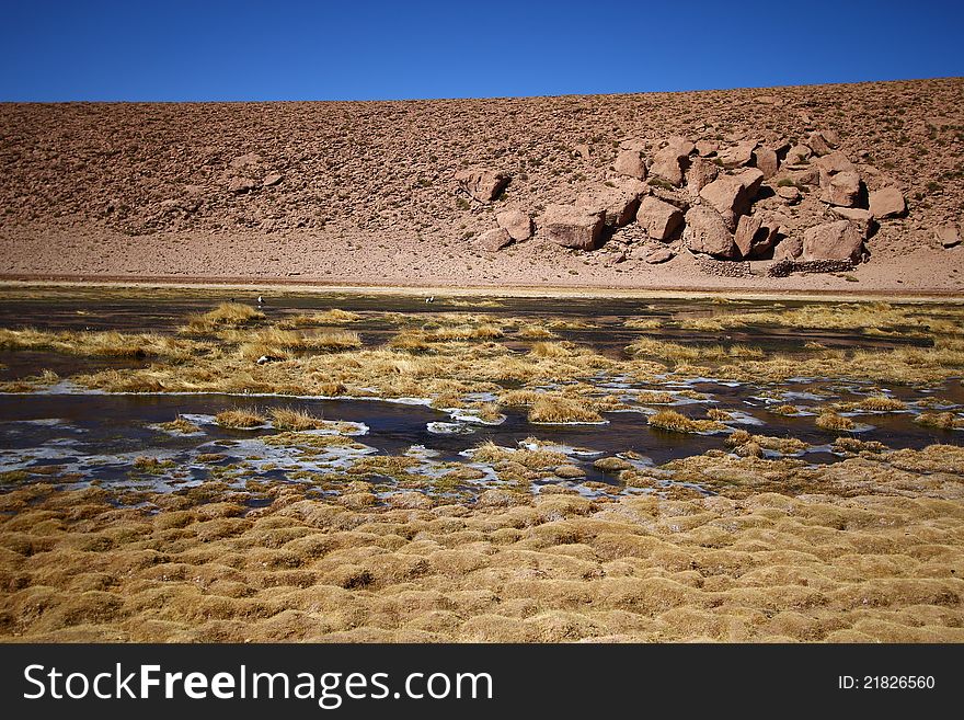 River Flow In The Atacama Desert