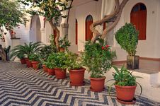 Mediterranean Courtyard Royalty Free Stock Image