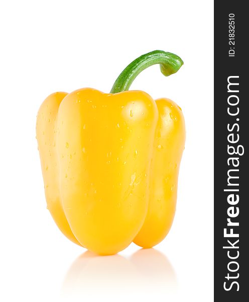 Yellow pepper  on a white background