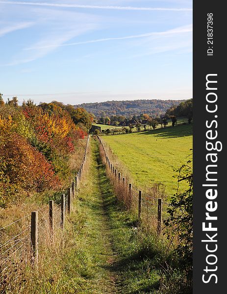 Autumn Landscape in rural England with footpath between tree plantations. Autumn Landscape in rural England with footpath between tree plantations