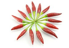 Red Pepper On A White Background Royalty Free Stock Photos