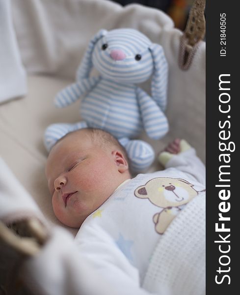 Newborn baby boy sleeping happily, cosy in basket with cute blue cuddly toy. Newborn baby boy sleeping happily, cosy in basket with cute blue cuddly toy