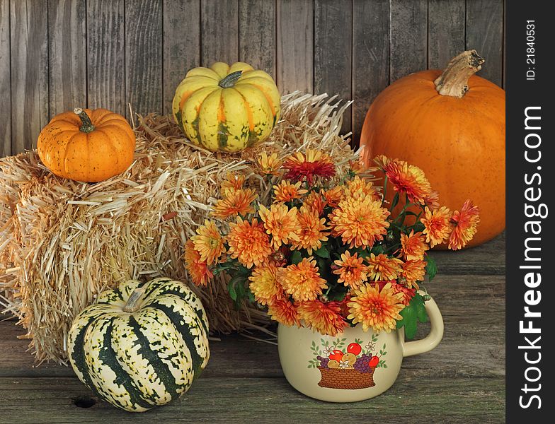 Autumn scene of mum flowers and gourds. Autumn scene of mum flowers and gourds