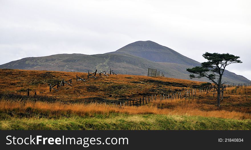 Veiw Of The Moor At Strath Halladale.