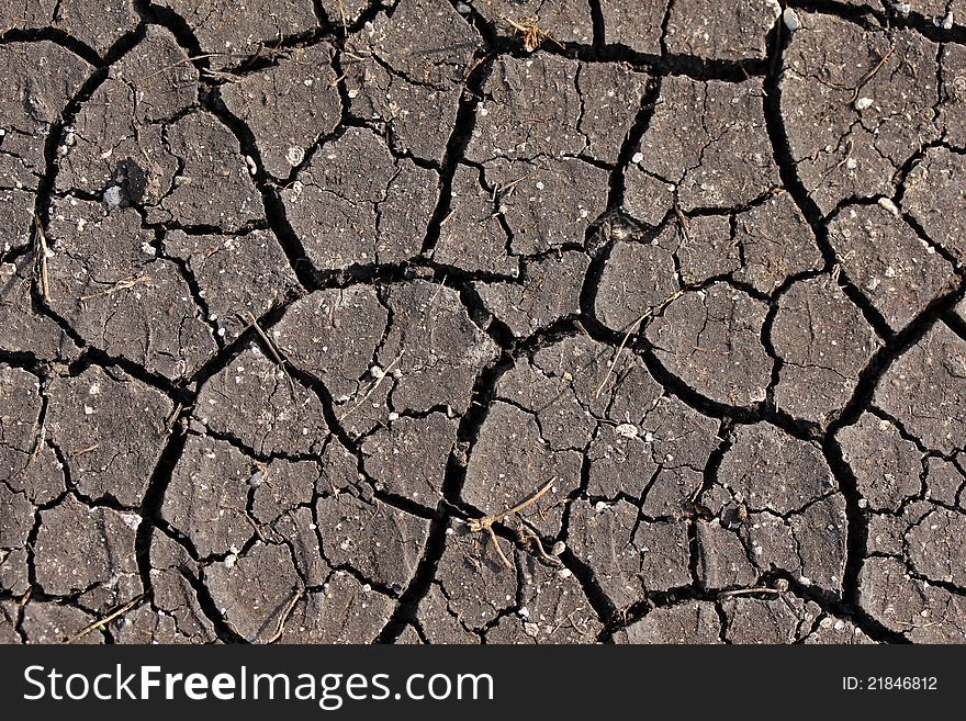 Dry Cracked Earth