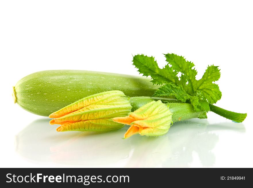 Green zucchini leaves and flower on a white background. Green zucchini leaves and flower on a white background
