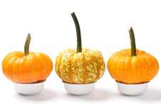 Mini Pumpkins Over White Stock Image