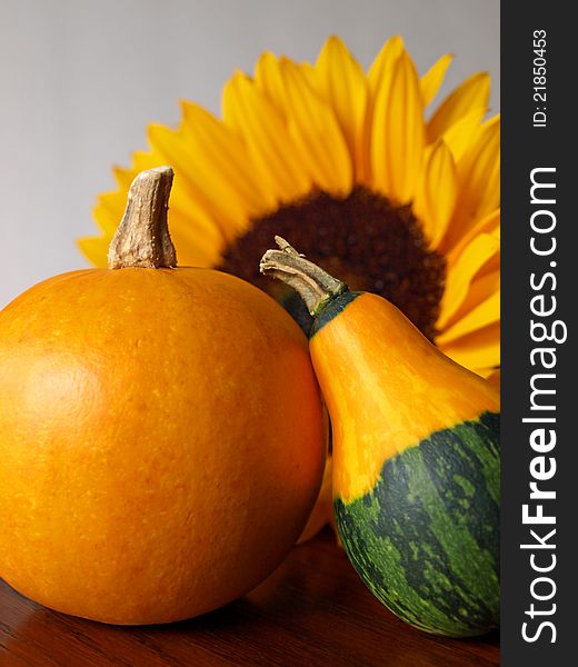 Decorative autumn gourds with a sunflower. Decorative autumn gourds with a sunflower