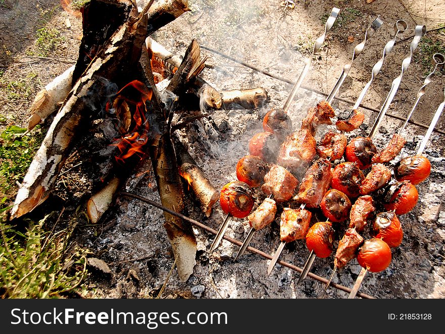 Shish kebob and grilled tomatoes. Shish kebob and grilled tomatoes