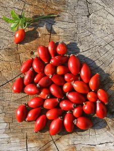 Briar Fruits On A Wood Surface Stock Image Briar Fruits On A Wood Surface Stock Image