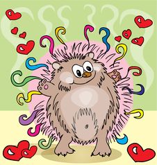 Cute Hedgehog Stock Photo Cute Hedgehog Stock Photo
