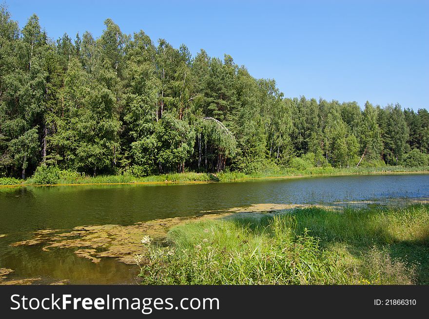 Lake, surrounded with pine wood. The  pure blue sky. Lake, surrounded with pine wood. The  pure blue sky