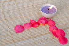 Purple Candle With Rose Petals Royalty Free Stock Images