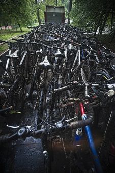 A Group Of Bicycles Before Contest Stock Images