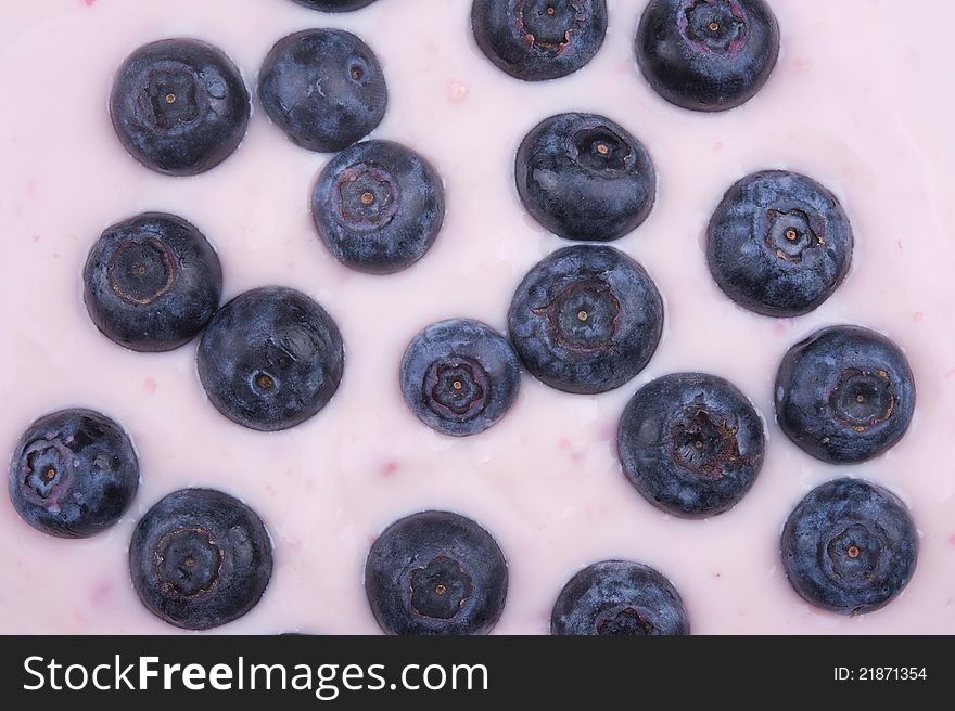 Fresh blueberries fruits in the bowl with yoghurt. Fresh blueberries fruits in the bowl with yoghurt