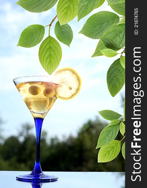 Green leaves brahch against summer background with martini cocktail on glass table. Green leaves brahch against summer background with martini cocktail on glass table