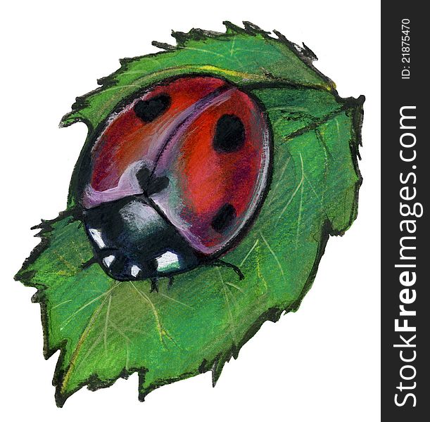 Tools: watercolors and pencil A ladybird on a leaf. Tools: watercolors and pencil A ladybird on a leaf