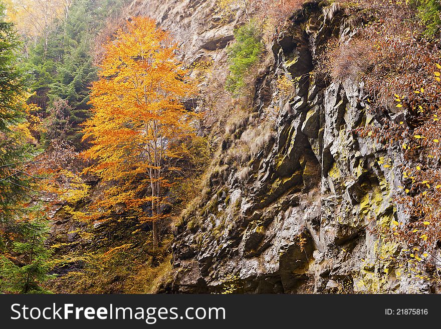 Autumn Waterfall In Mountain