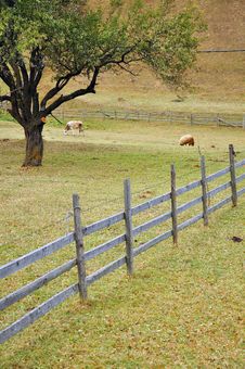 Wooden Fence Near Forest Stock Photo Wooden Fence Near Forest Stock Photo