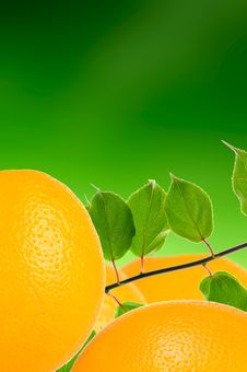Oranges With Leaves On Green Background Stock Photo Oranges With Leaves On Green Background Stock Photo