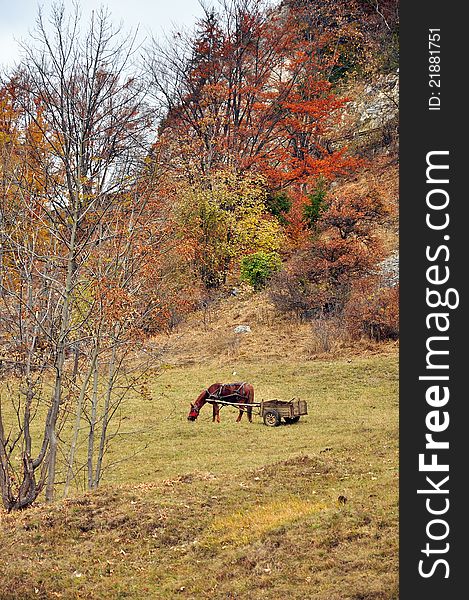 Horse And Car On Hill