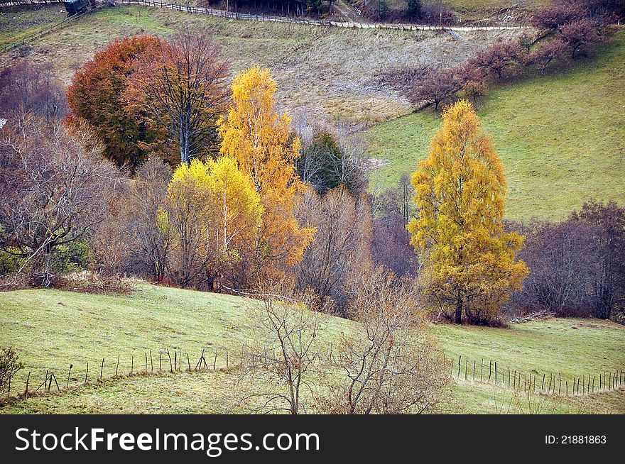 Wooden Hill Fence