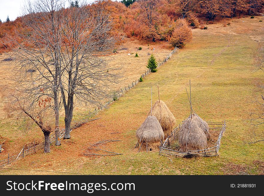 Hay cock and wooden fence on autumn hill