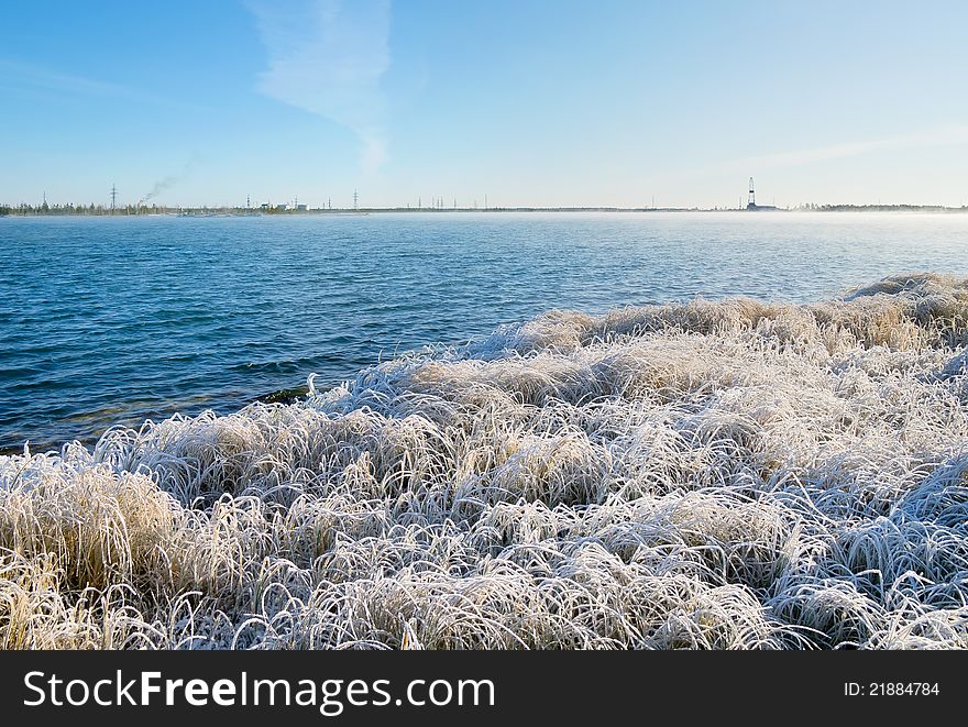 The grass in the frost on the background of the industrial landscape. The grass in the frost on the background of the industrial landscape