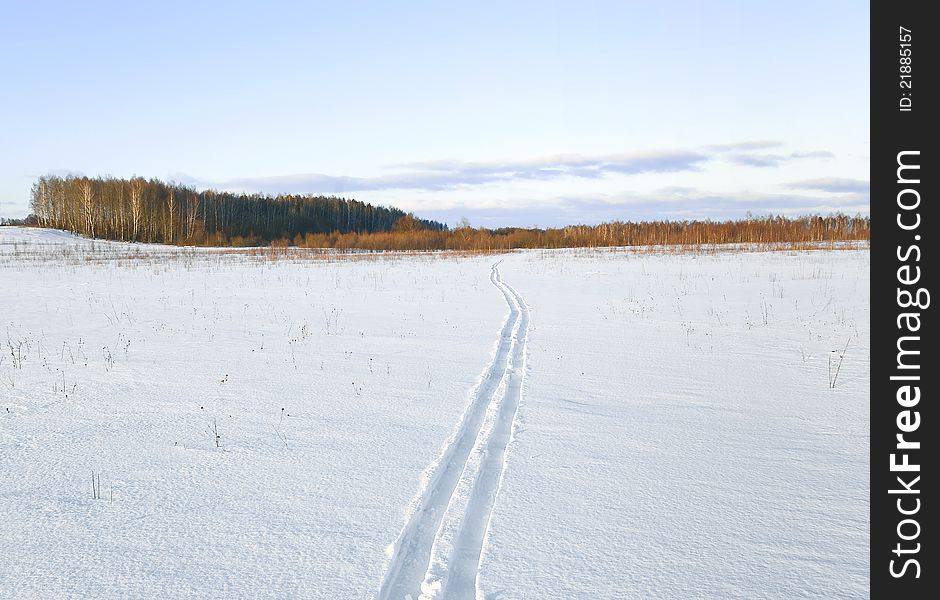Ski trace through the field covered with snow. Ski trace through the field covered with snow