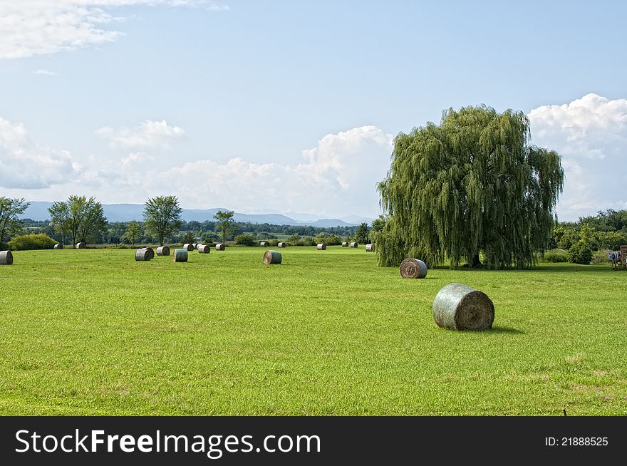A field in Vermont which has been harvested for hay. A field in Vermont which has been harvested for hay.