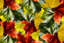 Autumn Colors Stock Image Autumn Colors Stock Image