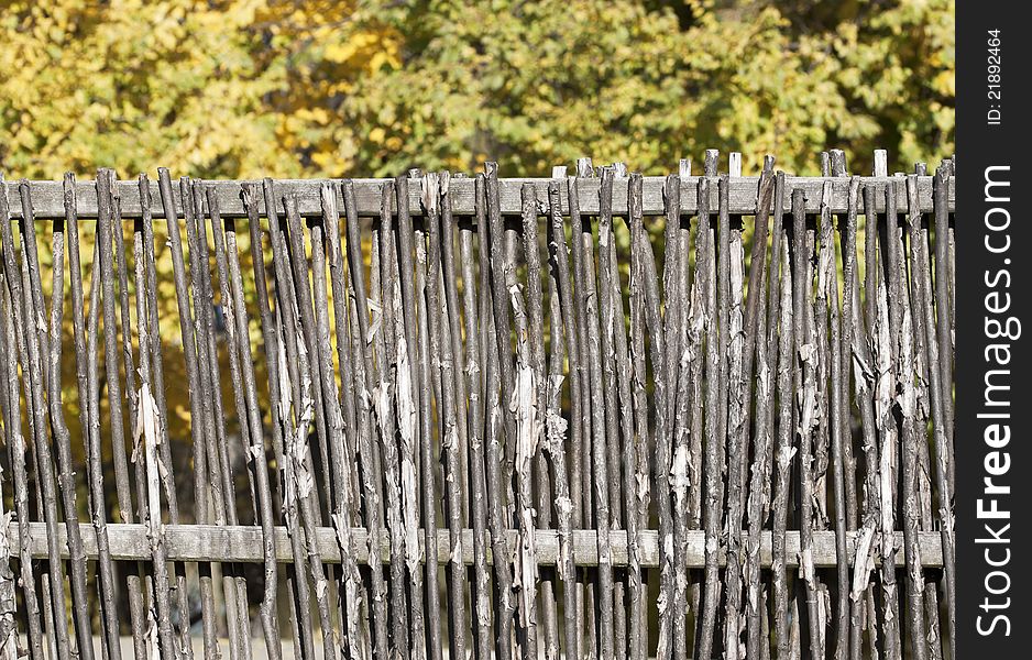 Rural fence made from dried rods. Rural fence made from dried rods