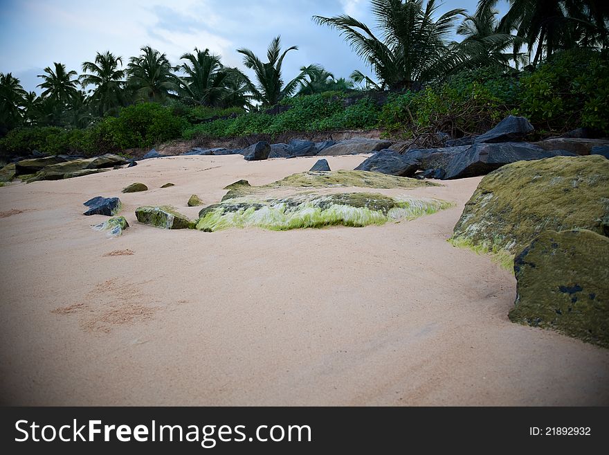 Rocks by beach