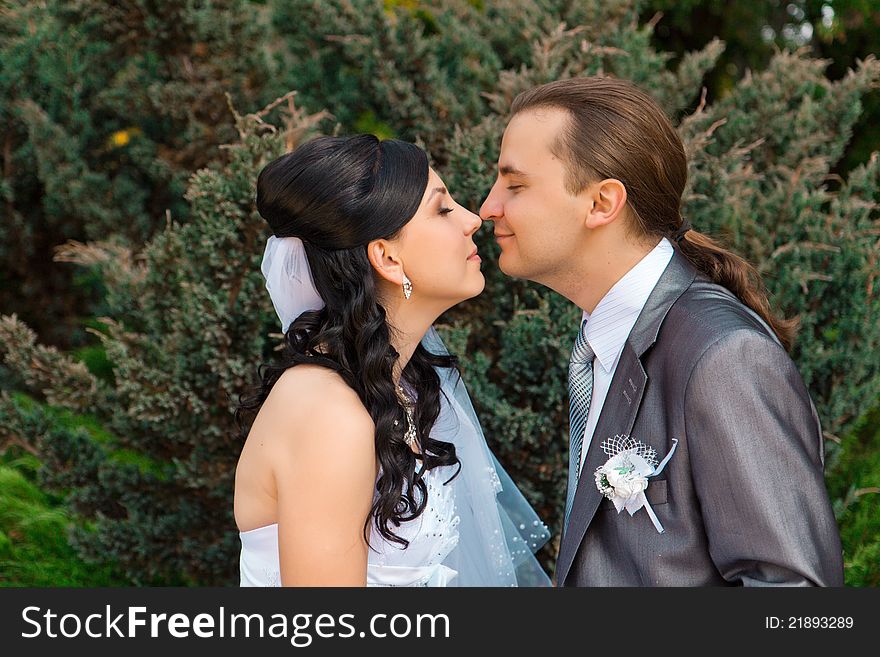 Happy Bride And Groom