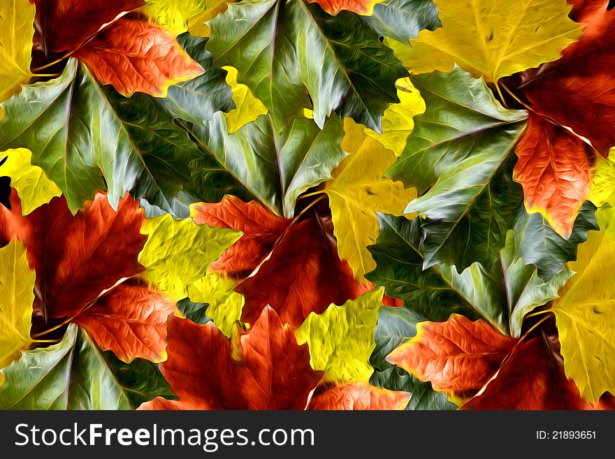 An array of large leaves in bright autumn colors